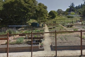 Aptos Community Garden