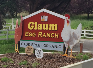Glaum Egg Ranch