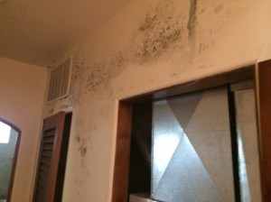 7429 Mesa Drive - Mold