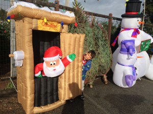 Aptos Christmas Tree Lot