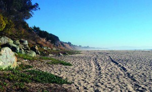 Beer Can Beach in Aptos