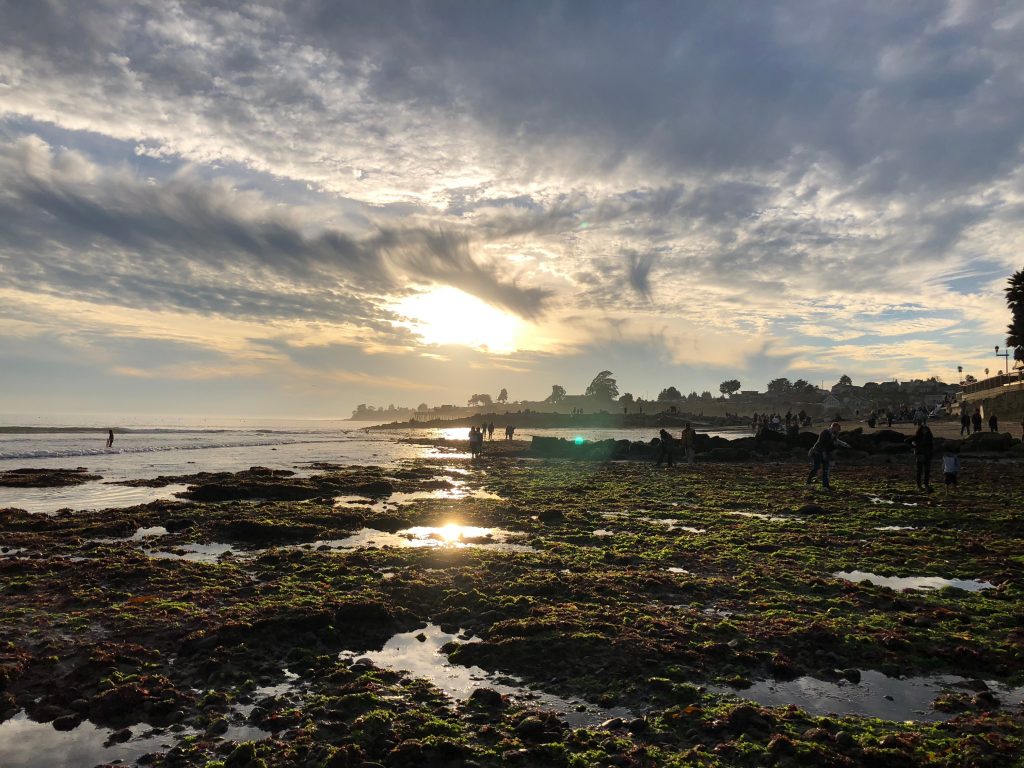 New Year's Walk at King Tide Aptos Community News